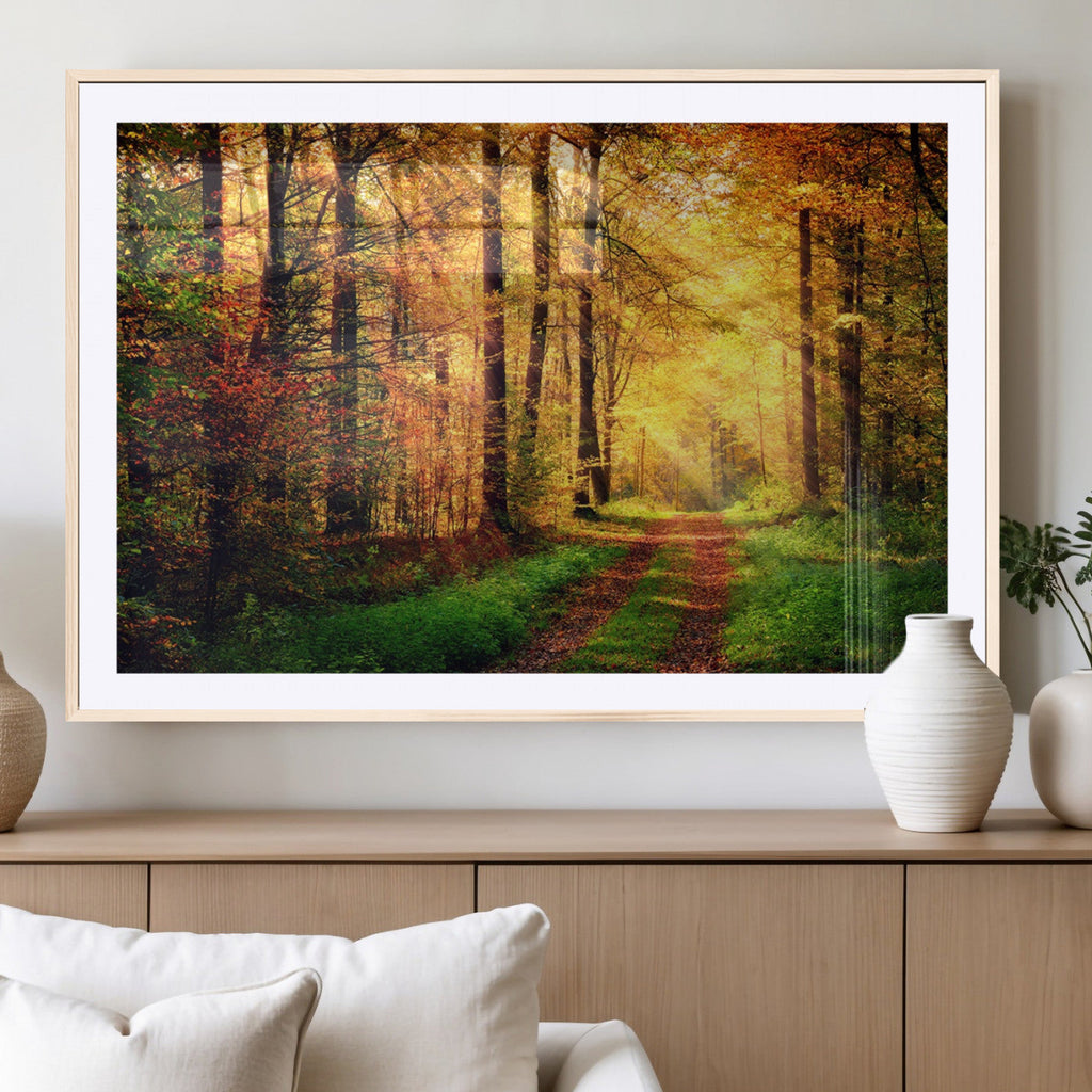Sunlight Through Trees Wall Art Canvas Print | Autumn Forest Wall Art