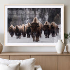 Bison Wall Art Canvas Print, Bison Herd Canvas Wall Art