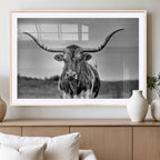 Texas Longhorn Cow Wall Art, Texas Longhorn Canvas, Cattle