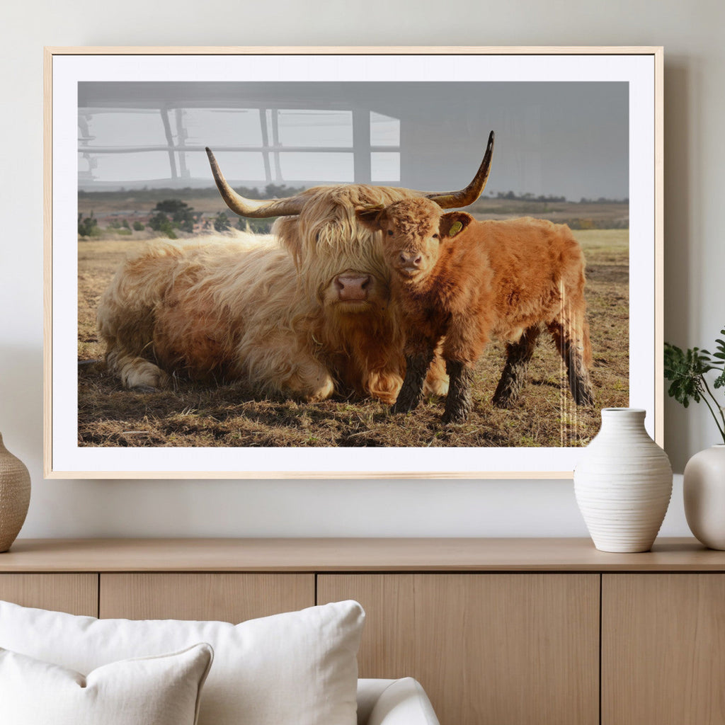 Highland Cow Canvas Wall Art Animal Print for Farm House Decor
