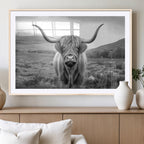 Black White Scottish Highland Cow Canvas Farm Wall Art