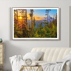 Forest Sunset Wall Art Canvas Print | Green Pines in Golden Light