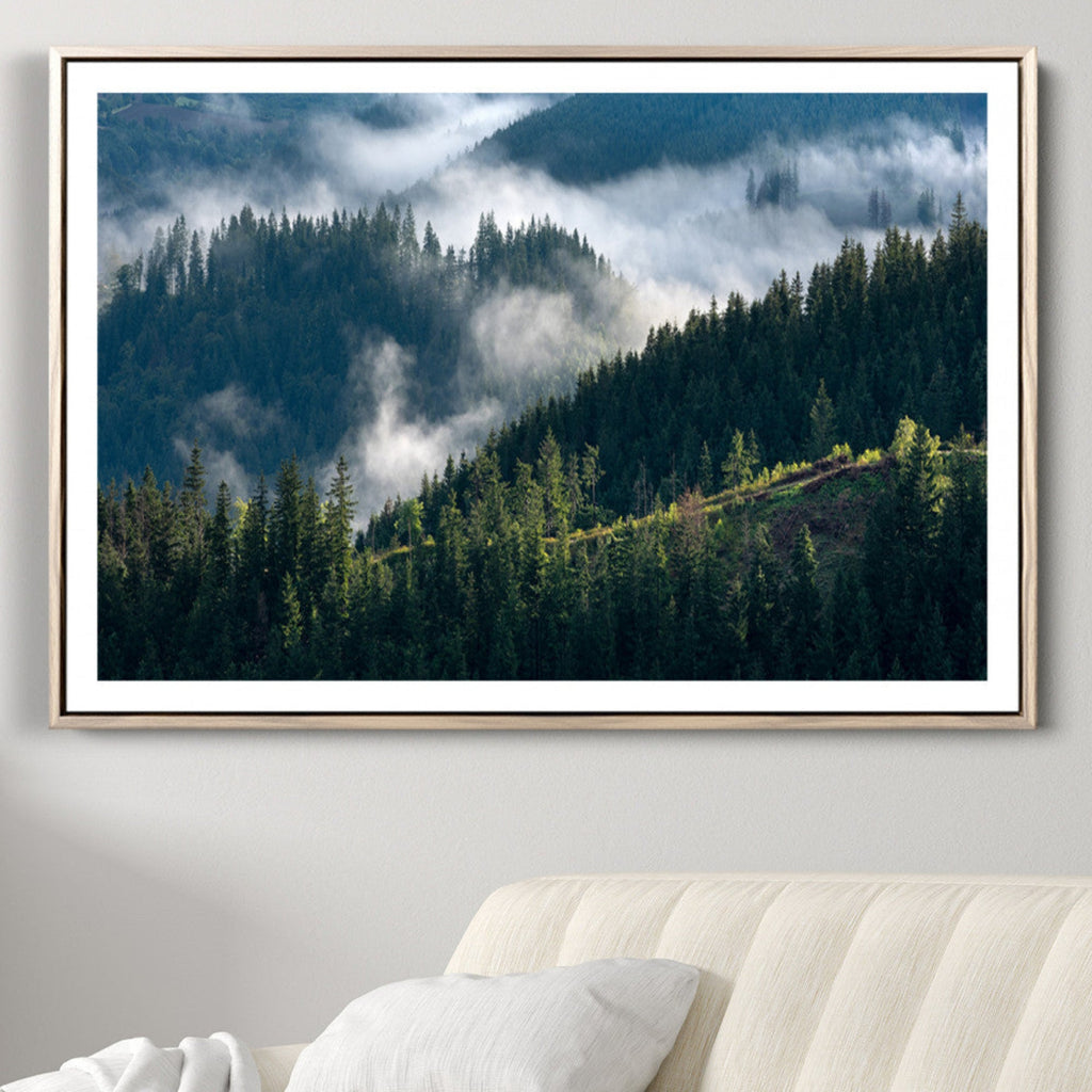 Misty Forest Wall Art Canvas Print | Pine Hills with Foggy Trees