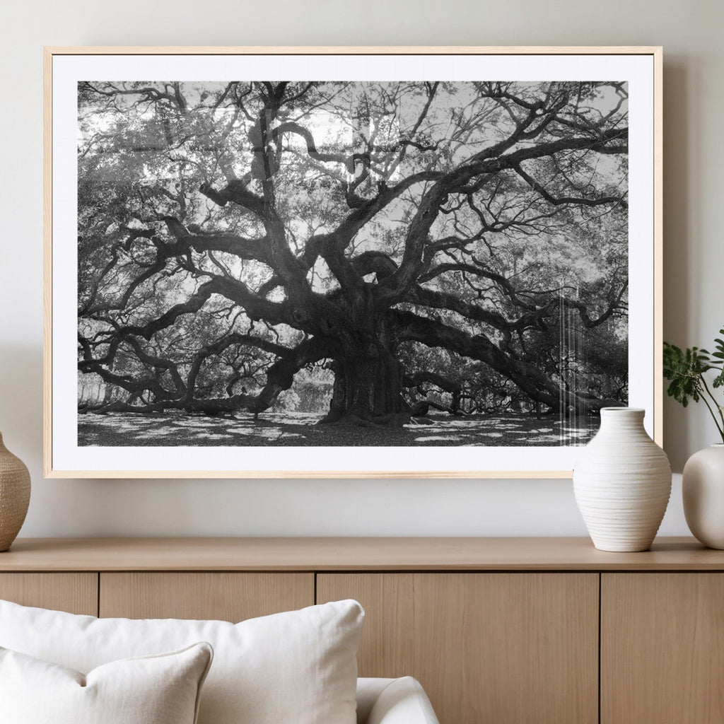 Ancient Oak Wall Art Canvas Print | Gnarled Tree with Twisted Branches
