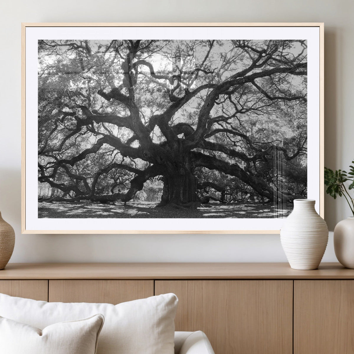 Ancient Oak Wall Art Canvas Print | Gnarled Tree with Twisted Branches