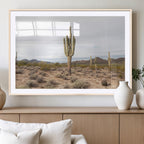 Saguaro Cactus Wall Art | Framed Desert Canvas Artwork