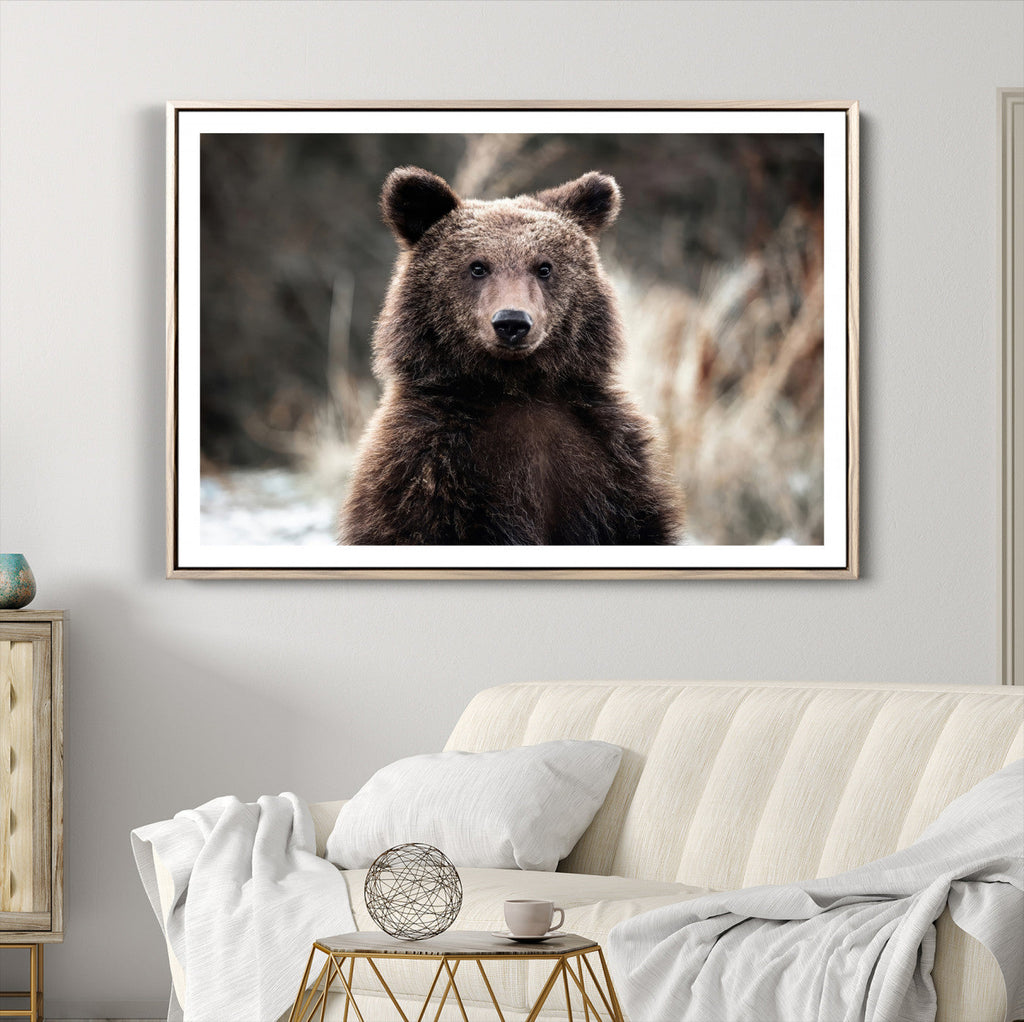 Brown Bear Wall Art Canvas Print, Framed Majestic Woodland Wildlife Cabin Art