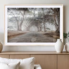 Cypress Tunnel Wall Art | Framed Misty Road Canvas Artwork
