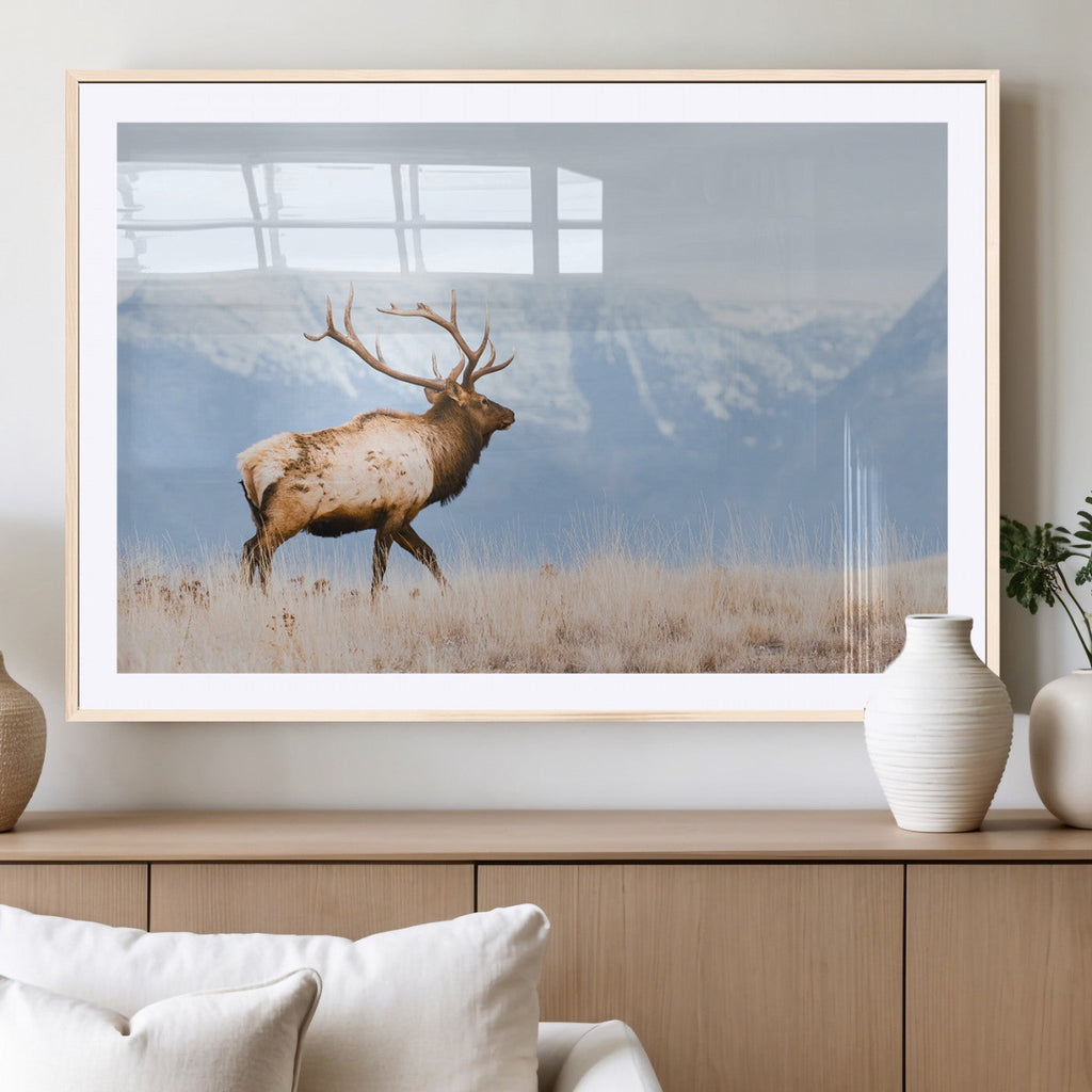 Elk Photography Wall Art Canvas Print, Framed Mountain Wildlife Art, Rustic Lodge Decor