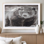 Grizzly Bear Wall Art Canvas Print, Framed Rustic Lodge Art, Wildlife Photography