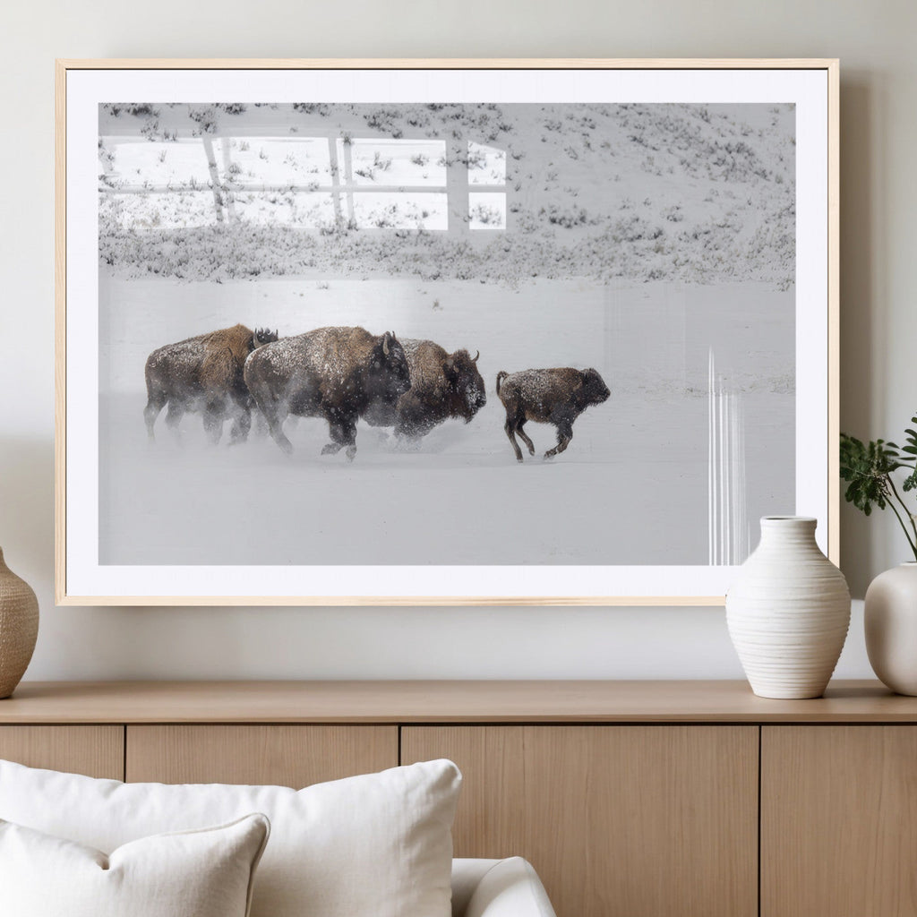 Bison Herd Wall Art Canvas Print, Framed Snowy Bison Scene, Winter Wildlife Decor
