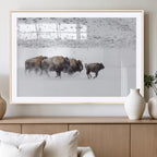 Bison Herd Wall Art Canvas Print, Framed Snowy Bison Scene, Winter Wildlife Decor