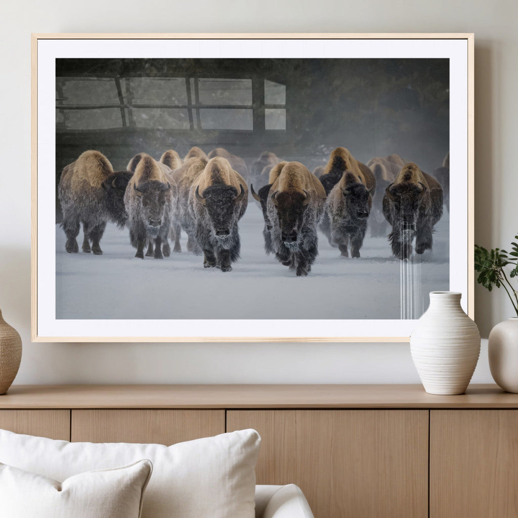 Bison Herd Wall Art Canvas Print, Framed Rustic Wildlife Decor, Snowy Bison Landscape