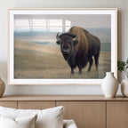 Bison Wall Art Canvas Print, Framed American Buffalo Rustic Western Artwork