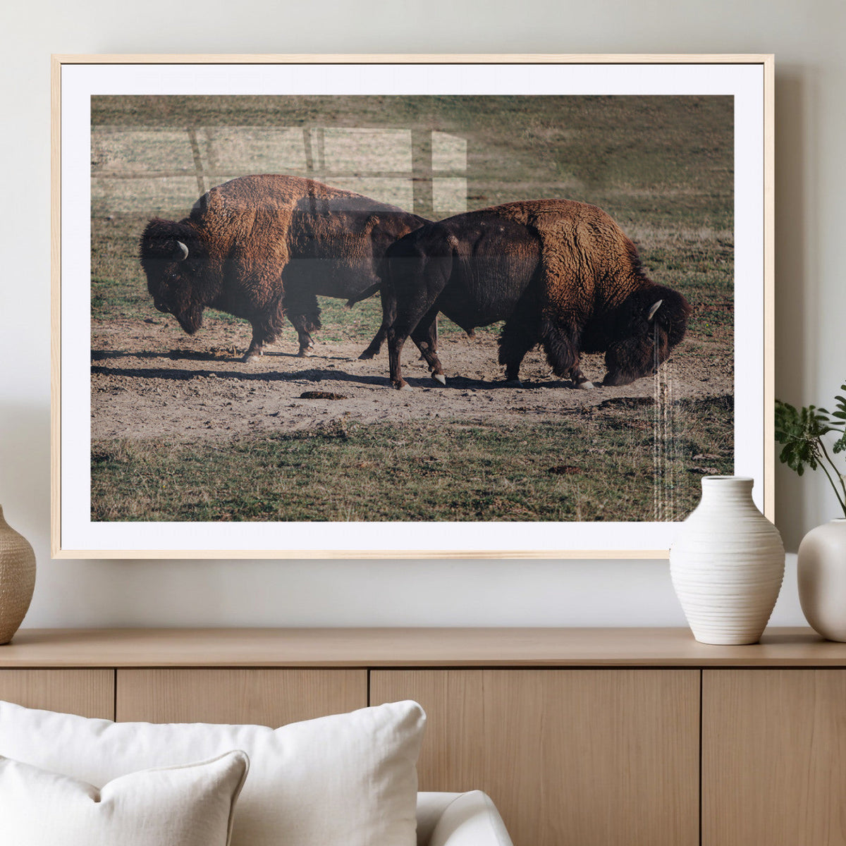 Bison Wall Art Canvas Print, Framed Western Wildlife Modern Ranch