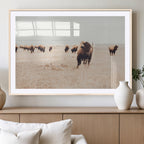 Bison Herd Wall Art Canvas Print, Framed Western Prairie Serenity