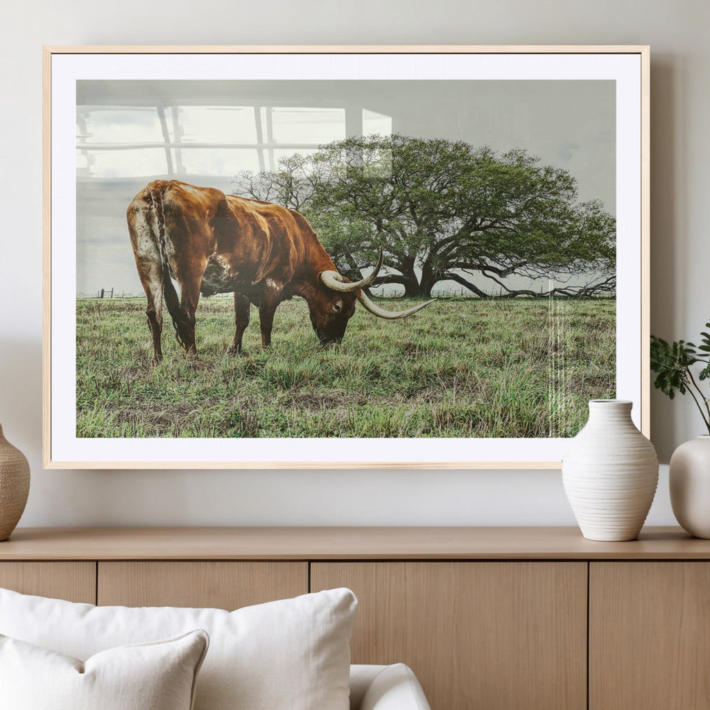 Texas Longhorn Wall Art Canvas Print, Framed Rustic Ranch Western Cattle