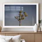 Joshua Tree Wall Art Canvas Print, Framed Southwestern Desert Landscape