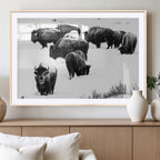 Buffalo Herd Wall Art Canvas Print, Framed Black and White Snowy Landscape