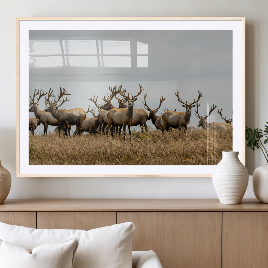 Elk Herd Wall Art Canvas Print, Framed Wildlife Photography Art, Majestic Antlers Rustic Wildlife Decor