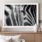 Zebra Stripes Wall Art Canvas Print, Black and White Close Up Wildlife Pattern