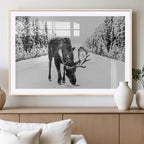 Moose Wall Art Canvas Print, Winter Moose with Antlers in a Snowy Forest
