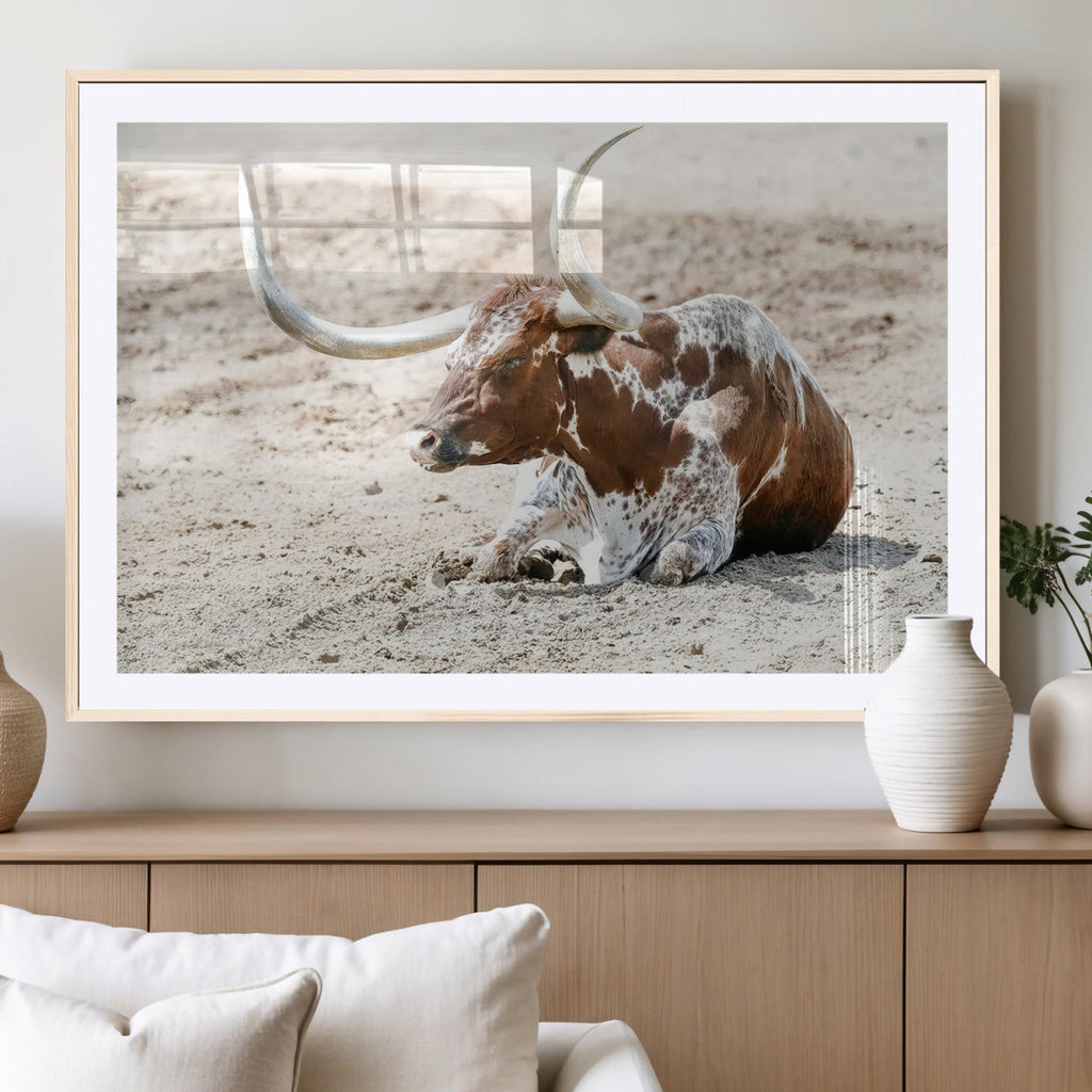 Majestic Longhorn Wall Art Canvas Print, Resting on Sunlit Desert Ground