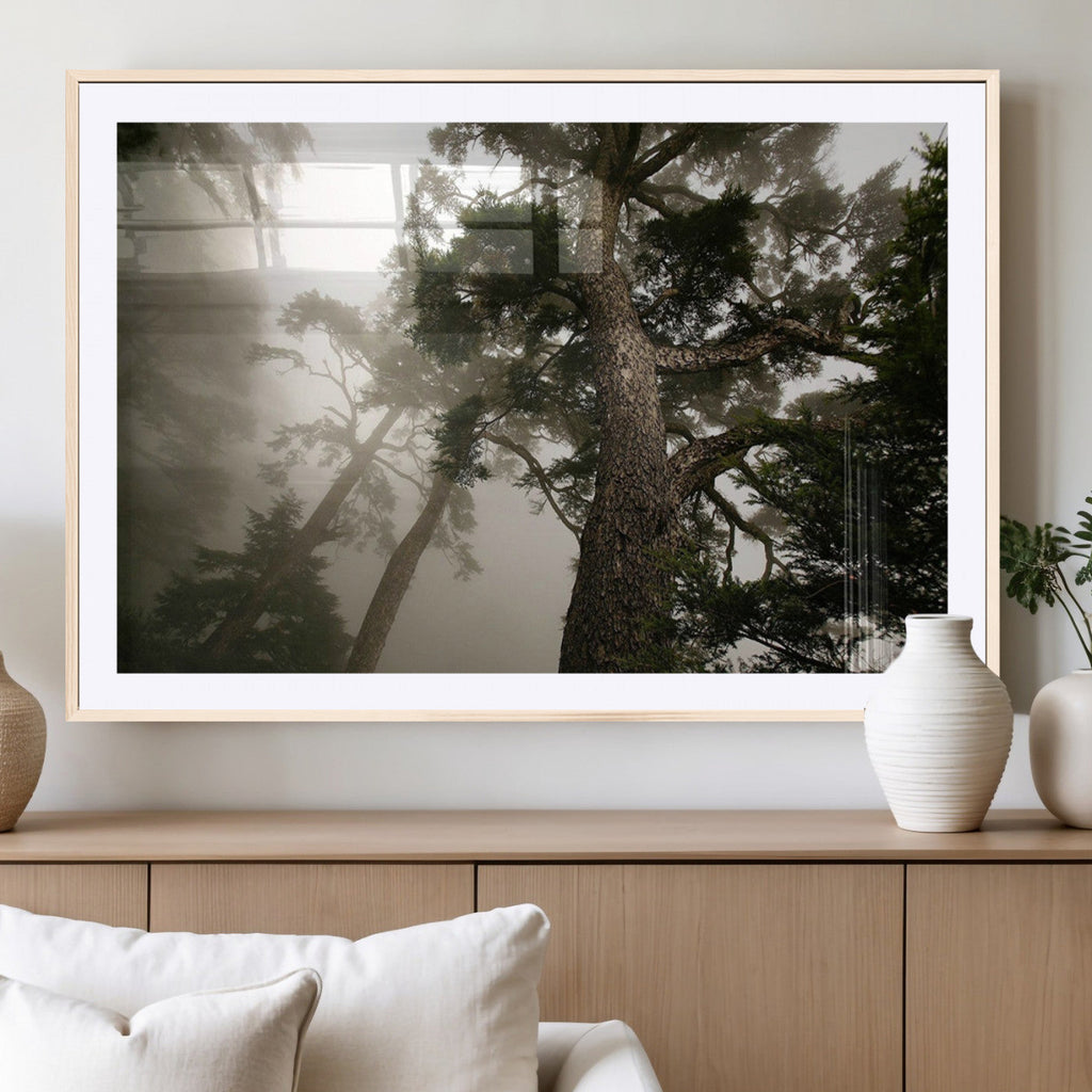Misty Forest Wall Art Canvas Print, Framed Tall Trees in Foggy Atmosphere