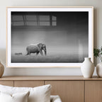 Elephant and Zebra Wall Art Canvas Print, Modern Artwork