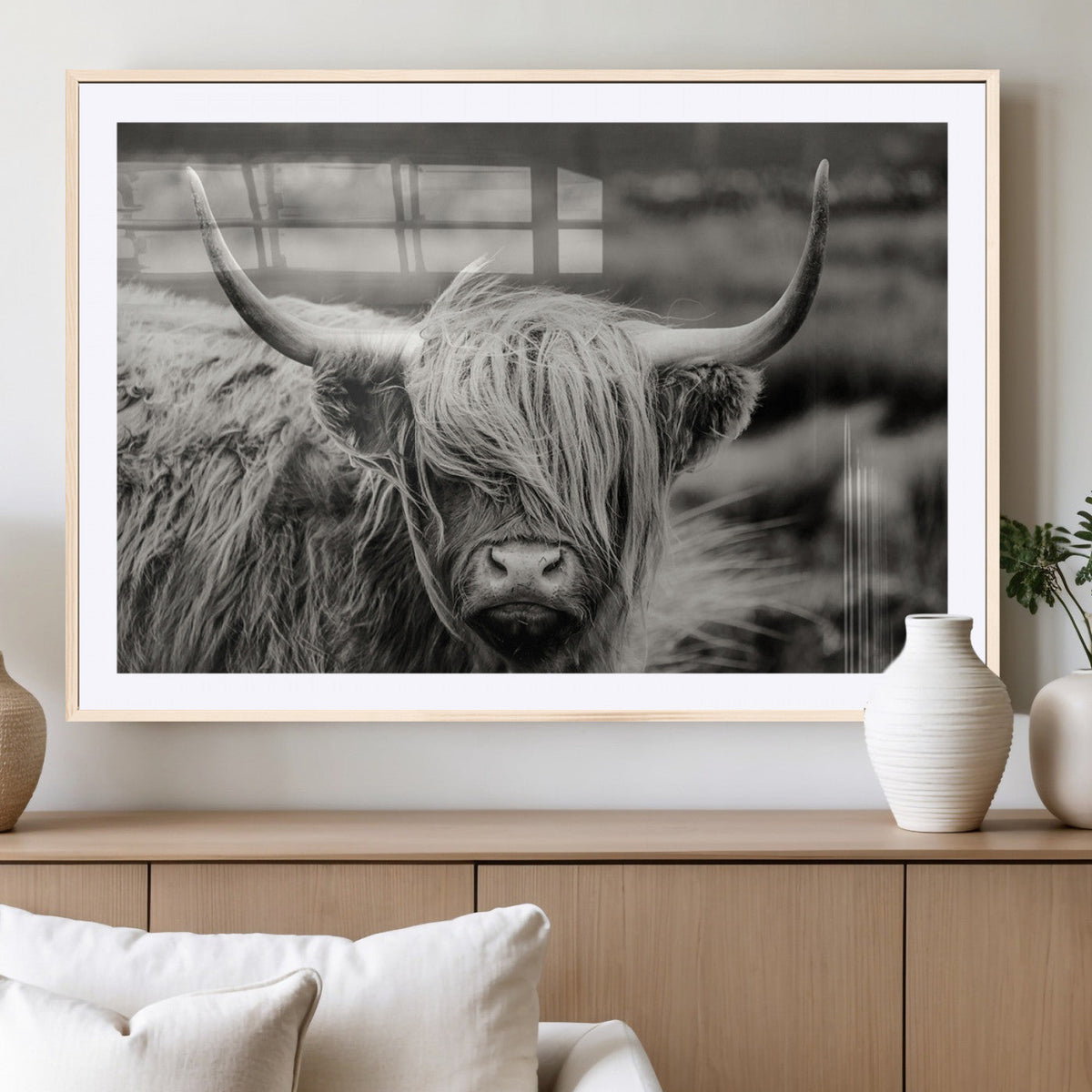 Cow Focus Canvas Wall Art Print
