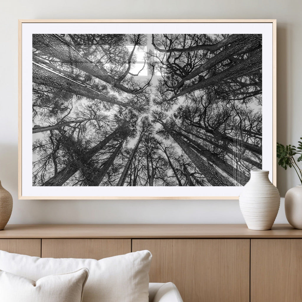 Trees Contemporary Art Canvas Print