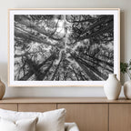 Trees Contemporary Art Canvas Print