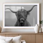 Texas Cow Wall Art Canvas, Texas Longhorn Cattle Canvas Print