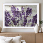 Lavender Herb Wall Art Canvas Print