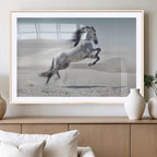 Prancing Horse Desert Large Wall Art Canvas Print, Majestic Horse Animal Artwork