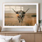 Texas Cow Wall Art Canvas Print for Farm House Wall Decor