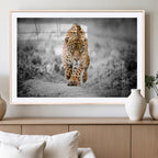 Jaguar Wall Art Canvas Print, Majestic Big Cat in Focused Pursuit