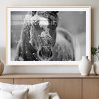 Black and White Horse Winter Wall Art, Ready to Hang