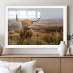 Scottish Highland Cow Canvas Wall Art, Rustic Farmhouse Decor