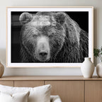 399 Grizzly Bear Canvas Print, Ready to Hang Wall Art