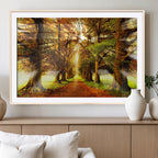 Sunshine in Forest and Trees Wall Art Canvas Print