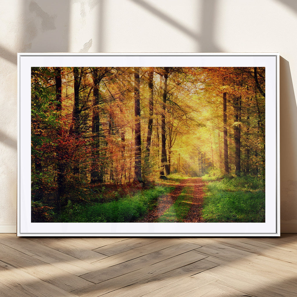 Sunlight Through Trees Wall Art Canvas Print | Autumn Forest Wall Art