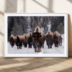 Bison Wall Art Canvas Print, Bison Herd Canvas Wall Art