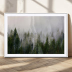 Forest Wall Art Canvas Print | Foggy Forest Wall Art | Pine Wood Forest Print