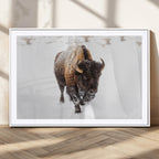 Bison Winter Wall Art Canvas Print For Farmhouse Decor