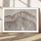 Tree Ring Wall Art Triptych, Rustic Wood Ring Canvas Print