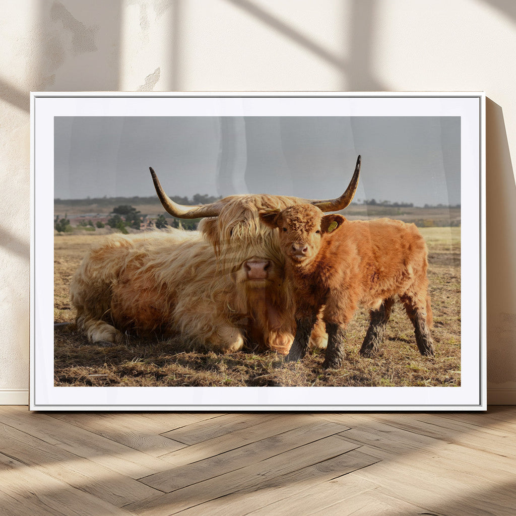 Highland Cow Canvas Wall Art Animal Print for Farm House Decor