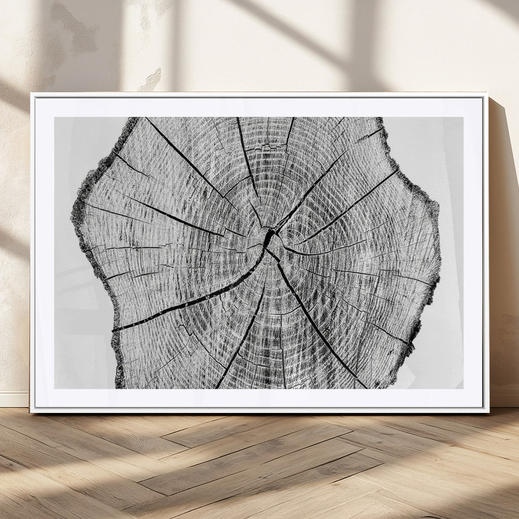 Rustic Tree Ring Wall Art Canvas Print, Framed and Ready to Hang