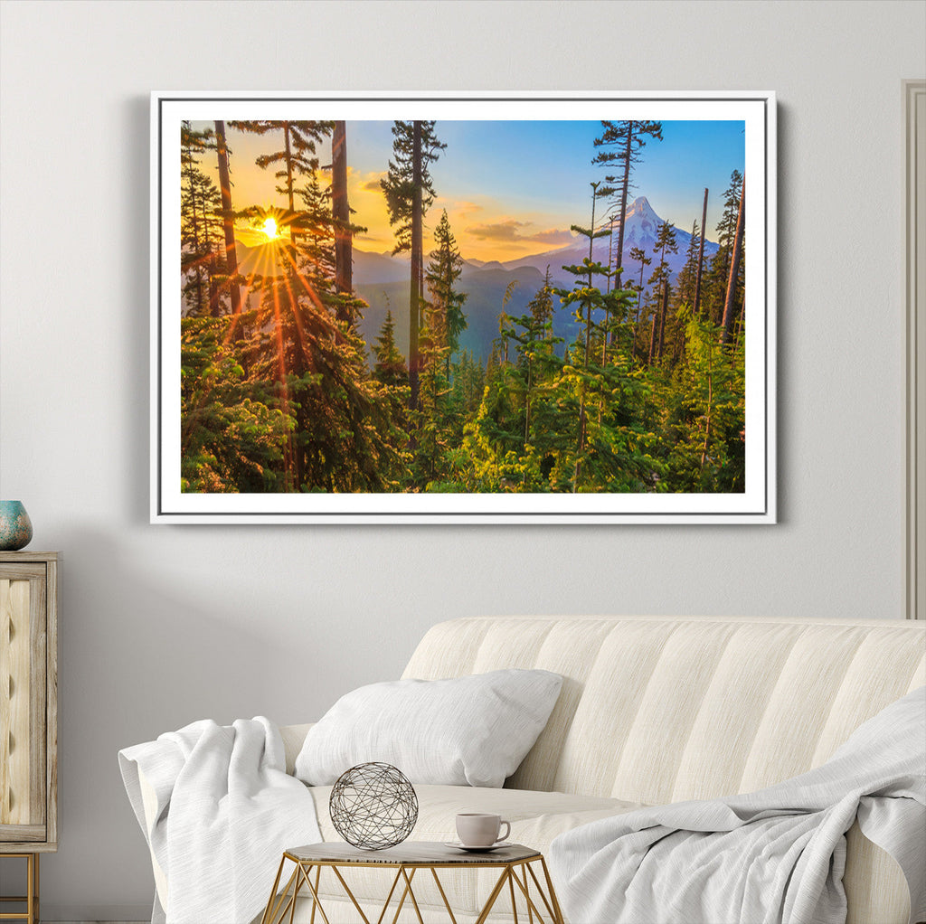 Forest Sunset Wall Art Canvas Print | Green Pines in Golden Light