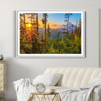 Forest Sunset Wall Art Canvas Print | Green Pines in Golden Light